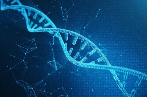 Genome Interpretation_comp_tiny